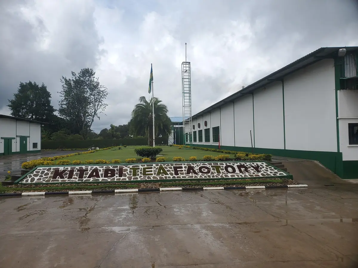 Tea factory building and entrance garden at Kitabi in southwest Rwanda