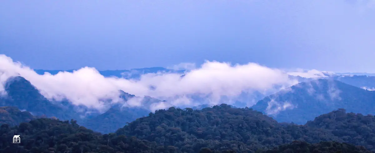 Clouds clearing over forested ridges in Nyungwe after rain