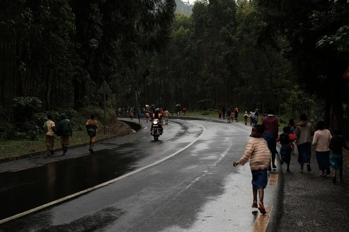 Wet road running through the forest in Nyungwe National Park