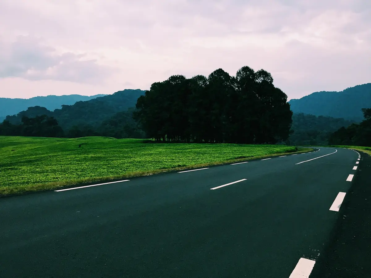 Road and lawn near the entrance to Nyungwe Forest